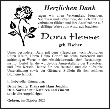 Traueranzeige von Dora Hesse von Südthüringer Presse