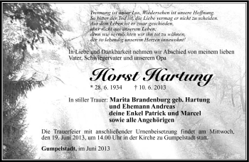 Traueranzeige von Horst Hartung von Südthüringer Presse