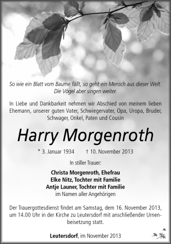 Traueranzeige von Harry Morgenroth von Südthüringer Presse