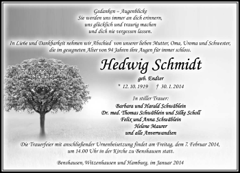 Traueranzeige von Hedwig Schmidt von Südthüringer Presse