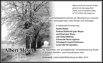 Traueranzeige von Albert Meyer von Südthüringer Presse