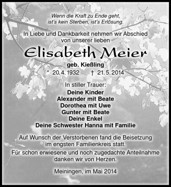 Traueranzeige von Elisabeth Meier von Südthüringer Presse