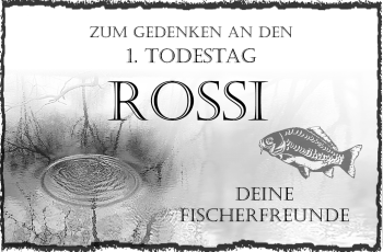 Traueranzeige von Rossi  von Frankenpost