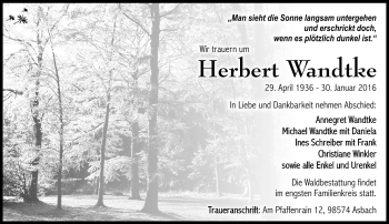 Traueranzeige von Herbert Wandtke von Südthüringer Presse
