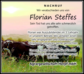 Traueranzeige von Florian Steffes von Südthüringer Presse