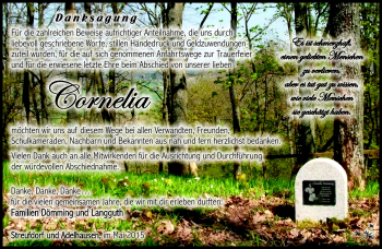 Traueranzeige von Cornelia Dömming von Südthüringer Presse