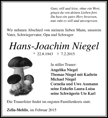 Traueranzeige von Hans-Joachim Niegel von Südthüringer Presse