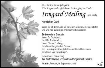Traueranzeige von Irmgard Meiling von Südthüringer Presse