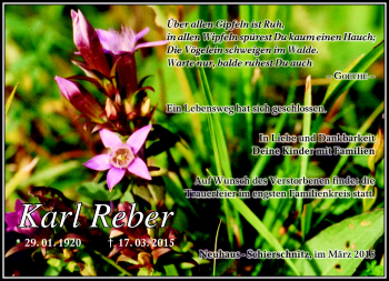 Traueranzeige von Karl Reber von Südthüringer Presse