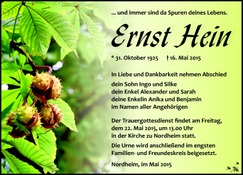 Traueranzeige von Ernst Hein von Südthüringer Presse