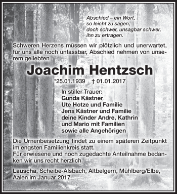 Traueranzeige von Joachim Hentzsch von Südthüringer Presse