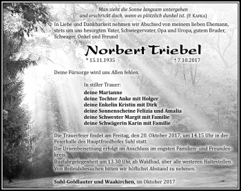 Traueranzeige von Norbert Triebel von Südthüringer Presse