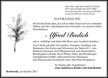Traueranzeige von Alfred Budich von Südthüringer Presse