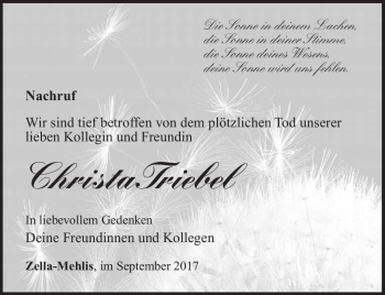 Traueranzeige von Christa Triebel von Südthüringer Presse
