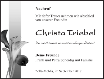 Traueranzeige von Christa Triebel von Südthüringer Presse