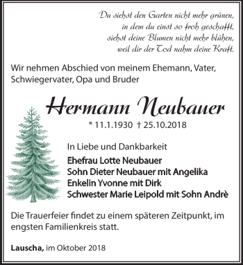 Traueranzeige von Hermann Neubauer von Südthüringer Presse