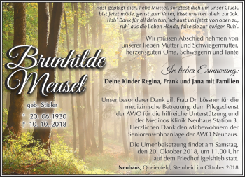 Traueranzeige von Brunhilde Meusel von Südthüringer Presse