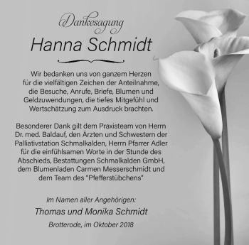 Traueranzeige von Hanna Schmidt von Südthüringer Presse