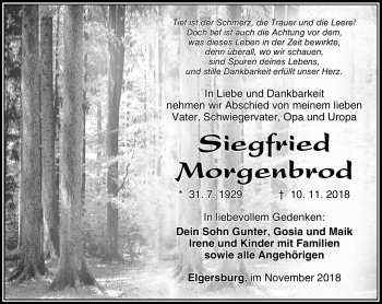 Traueranzeige von Siegfried Morgenbrod von Südthüringer Presse