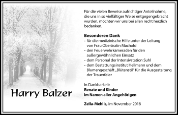 Traueranzeige von Harry Balzer von Südthüringer Presse