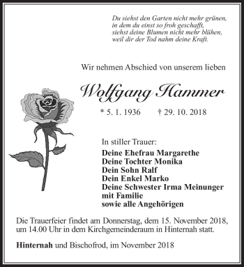 Traueranzeige von Wolfgang Hammer von Südthüringer Presse