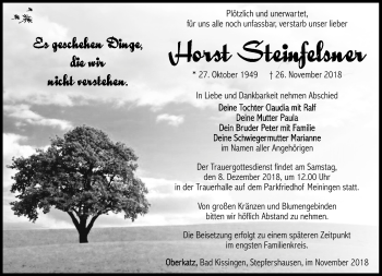 Traueranzeige von Horst Steinfelsner von Südthüringer Presse