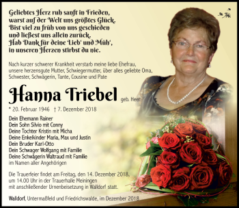 Traueranzeige von Hanna Triebel von Südthüringer Presse