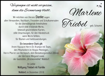 Traueranzeige von Marlene Triebel von Südthüringer Presse