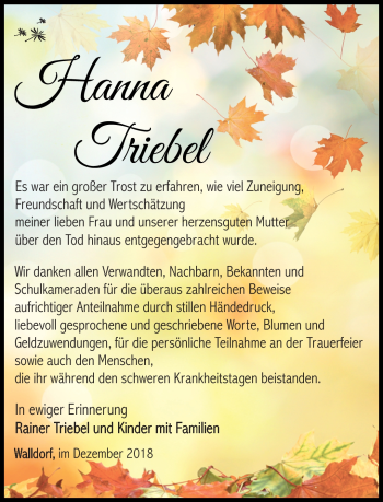 Traueranzeige von Hanna Triebel von Südthüringer Presse