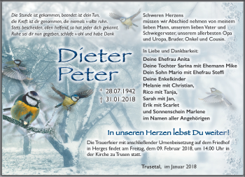 Traueranzeige von Dieter Peter von Südthüringer Presse