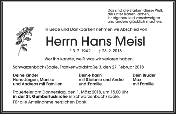 Traueranzeige von Hans Meisl von Frankenpost