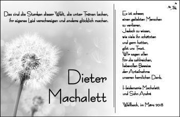 Traueranzeige von Dieter Machalett von Südthüringer Presse