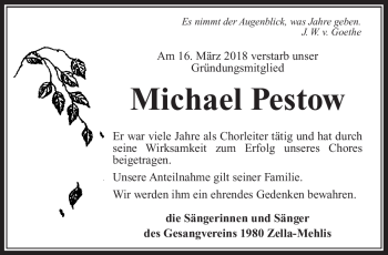 Traueranzeige von Michael Pestow von Südthüringer Presse