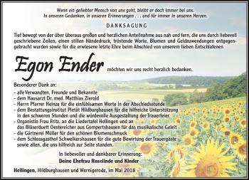 Traueranzeige von Egon Ender von Südthüringer Presse