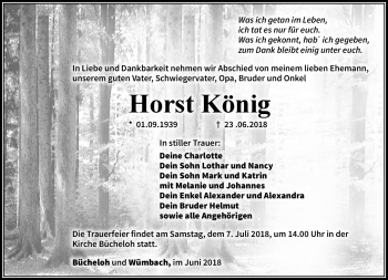 Traueranzeige von Horst König von Südthüringer Presse