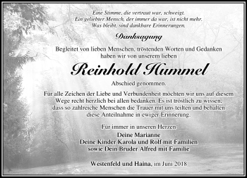 Traueranzeige von Reinhold Hummel von Südthüringer Presse