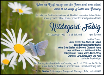 Traueranzeige von Hildegard Fabig von Südthüringer Presse