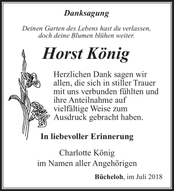 Traueranzeige von Horst König von Südthüringer Presse