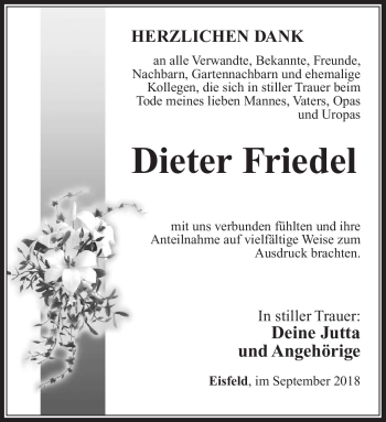 Traueranzeige von Dietetr Friedel von Südthüringer Presse