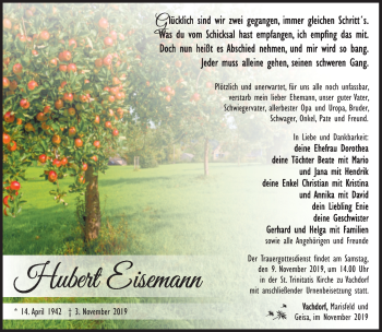 Traueranzeige von Hubert Eisemann von Südthüringer Presse