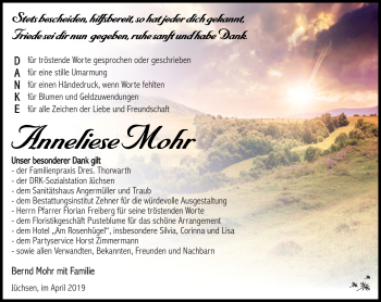 Traueranzeige von Anneliese Mohr von Südthüringer Presse