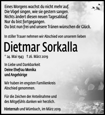 Traueranzeige von Dietmar Sorkalla von Südthüringer Presse