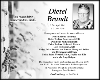 Traueranzeige von Dietel Brandt von Südthüringer Presse