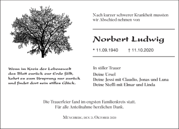 Traueranzeige von Norbert Ludwig von Frankenpost