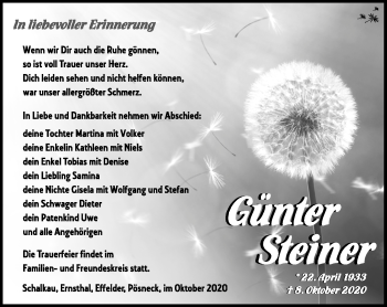 Traueranzeige von Günter Steiner von Südthüringer Presse
