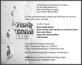 Traueranzeige von Hardy Triebel von Südthüringer Presse