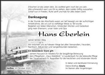 Traueranzeige von Hans Eberlein von Südthüringer Presse