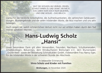 Traueranzeige von Hans-Ludwig Scholz von Südthüringer Presse