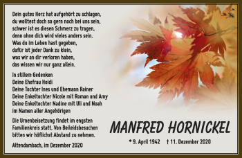 Traueranzeige von Manfred Hornickel von Südthüringer Presse