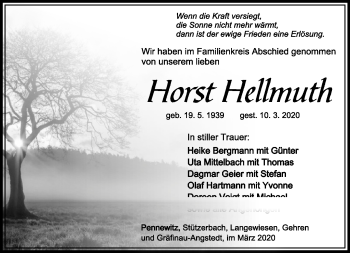 Traueranzeige von Horst Hellmuth von Südthüringer Presse